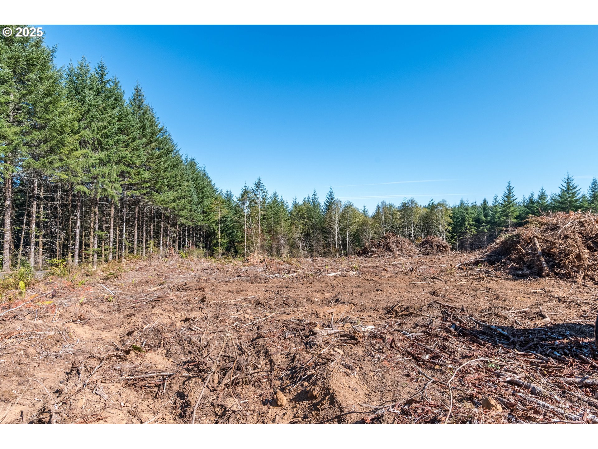 Orion Longview, WA 98632 - Photo 4 of 4