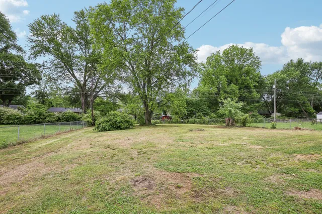 a view of a field with trees in background