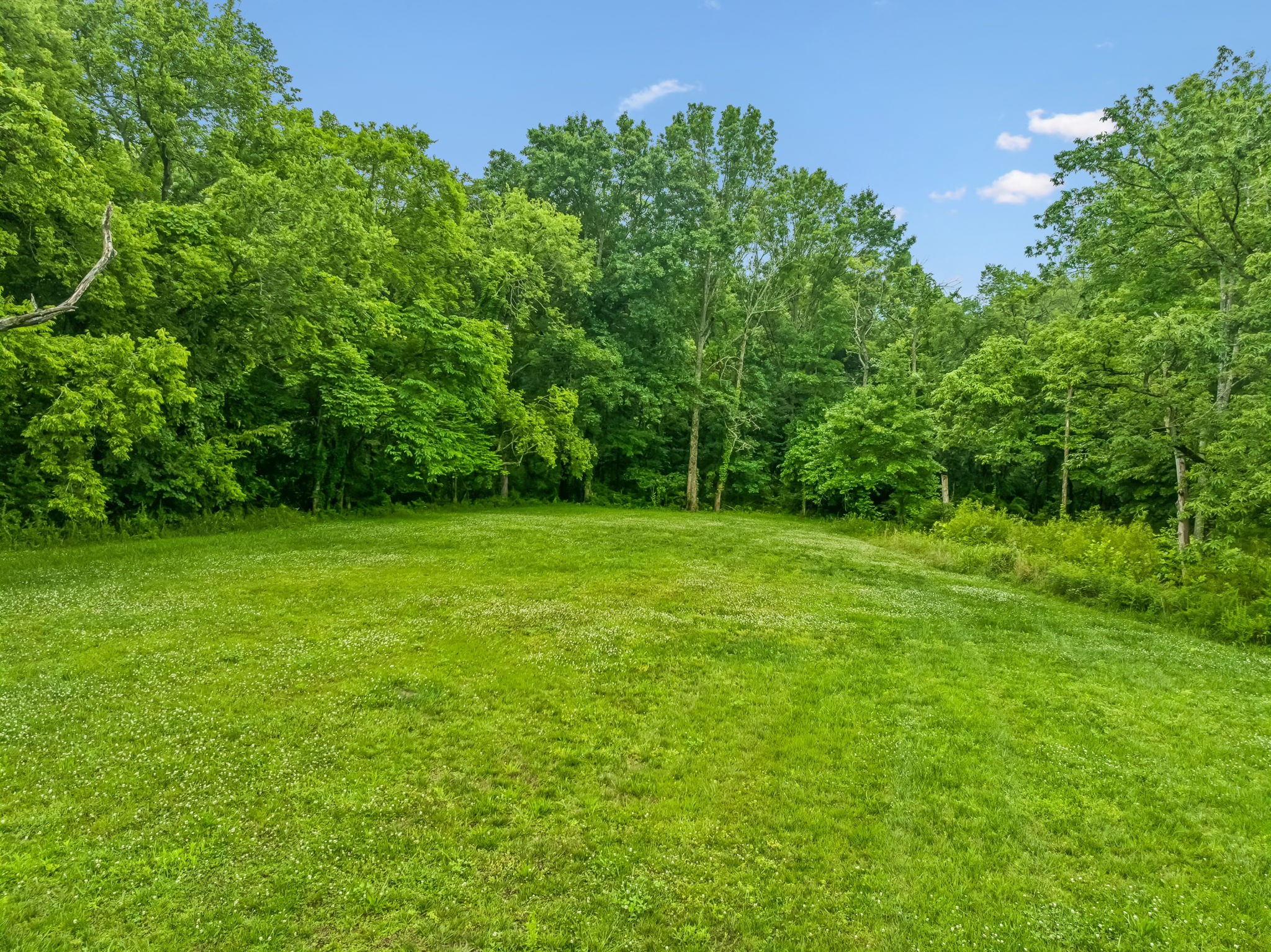 280 Kingdom Road Unionville, TN 37180 - Photo 34 of 65 a view of a garden