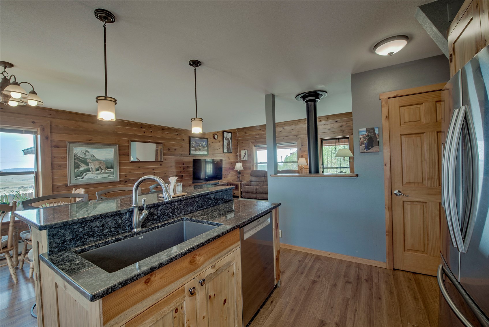 653 Vine Road Fairplay, CO 80440 - Photo 19 of 50