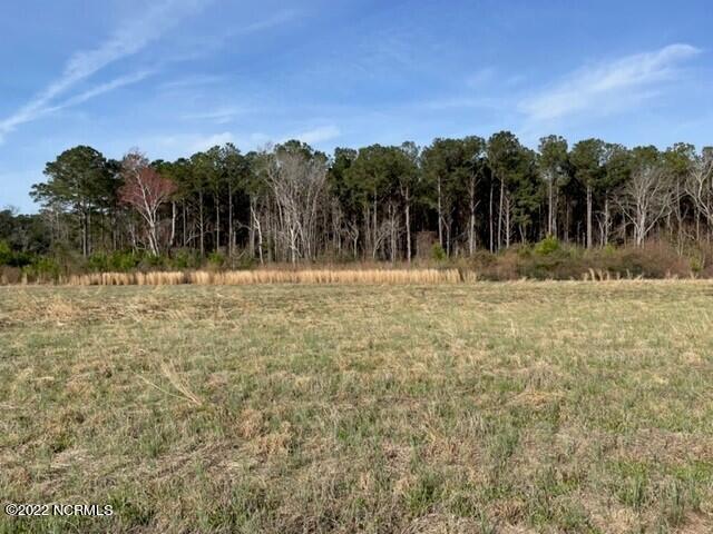 1501 Turkey Trap Road Southwest Supply, NC 28462 - Photo 25 of 31 Acreage