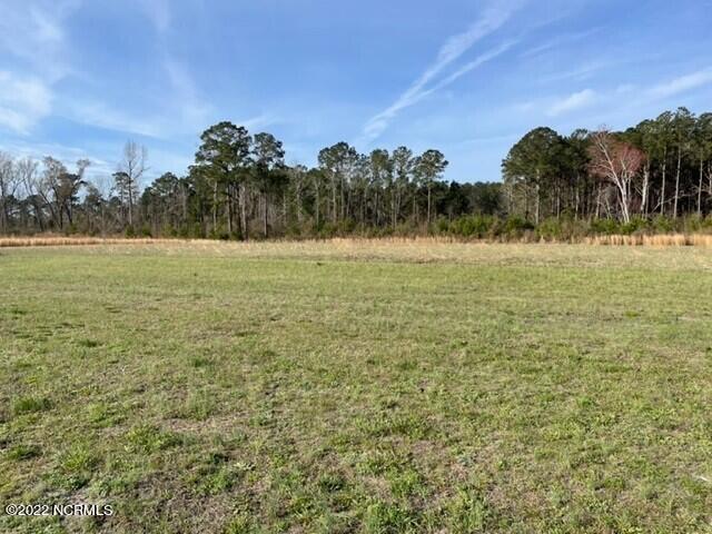 1501 Turkey Trap Road Southwest Supply, NC 28462 - Photo 26 of 31 and more Acreage