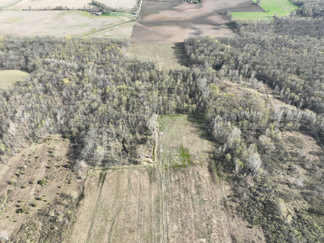 206 East Hayner Road Union City, MI 49094 - Photo 33 of 50 39