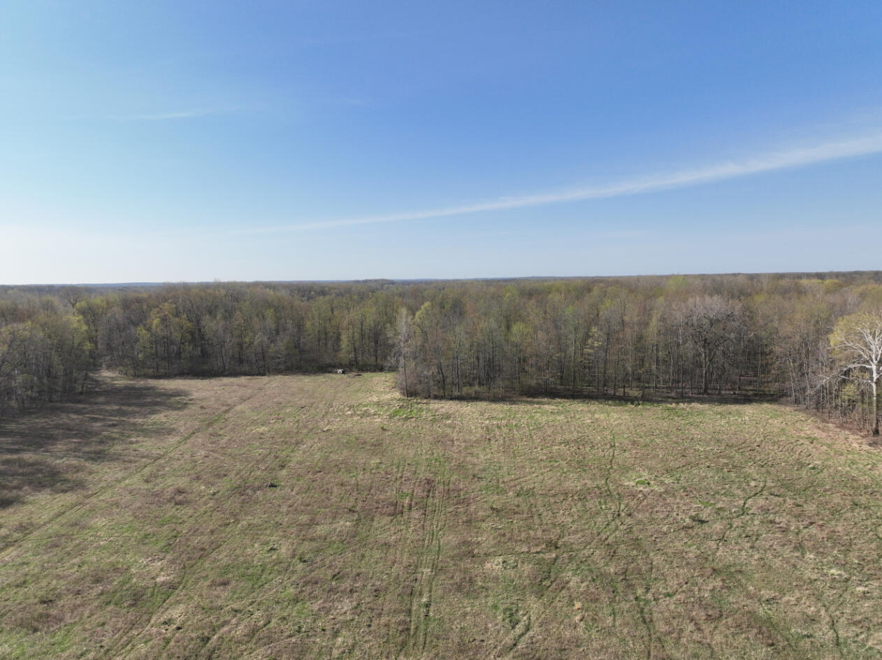 206 East Hayner Road Union City, MI 49094 - Photo 41 of 50 DJI_0080