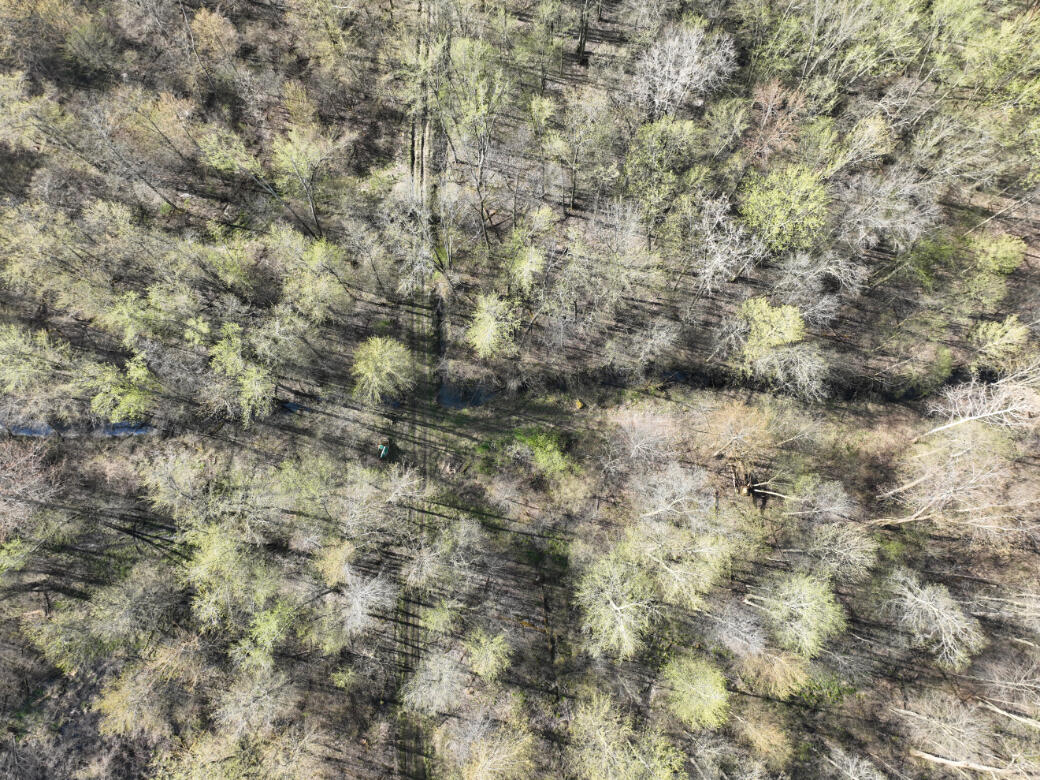 206 East Hayner Road Union City, MI 49094 - Photo 46 of 50 DJI_0085