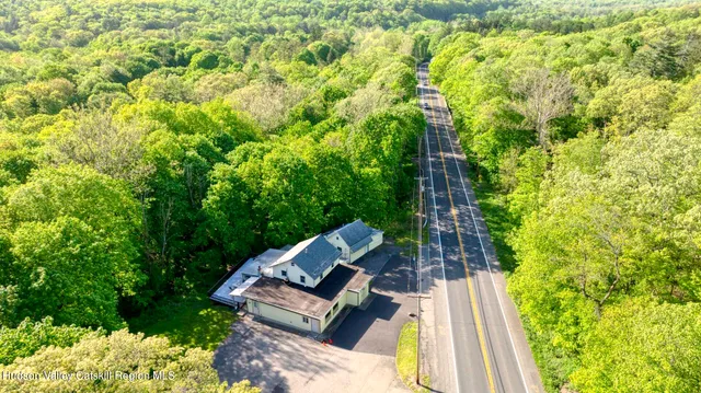 a view of a garden with plants and wooden fence