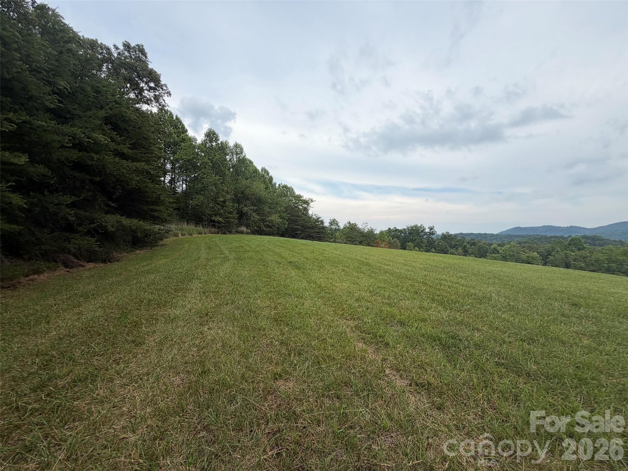 Lot 7 Parker Padgett Road Old Fort, NC 28762 - Photo 7 of 13