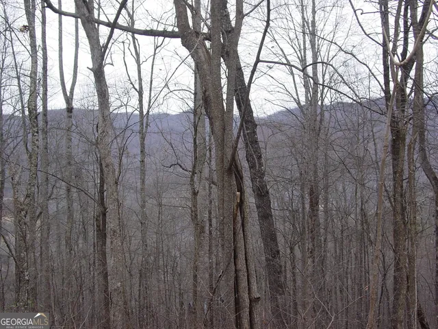 $34,500 | 16 Roaring Ridge Trail, Hiawassee, GA 30546