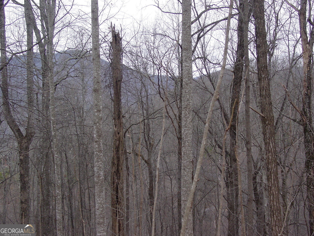 16 Roaring Ridge Trail Hiawassee, GA 30546 - Photo 2 of 4