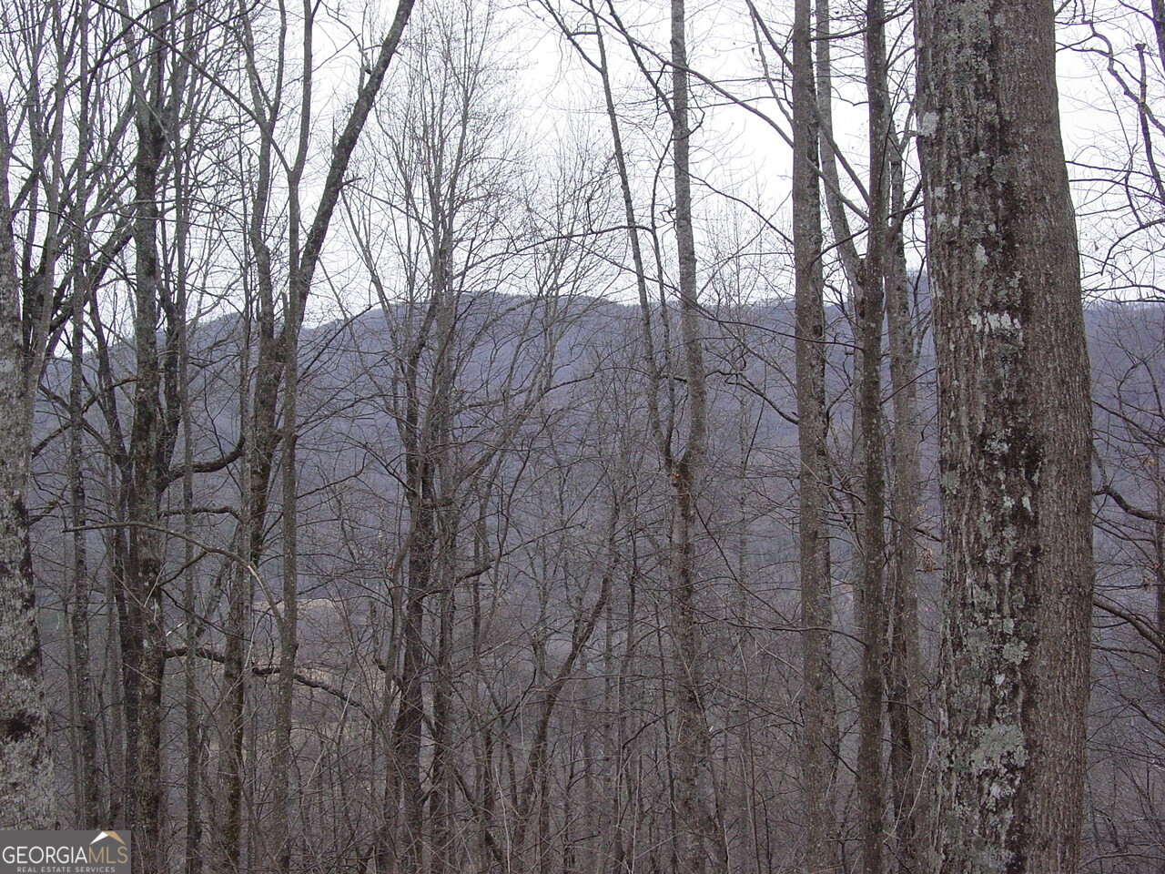 16 Roaring Ridge Trail Hiawassee, GA 30546 - Photo 3 of 4