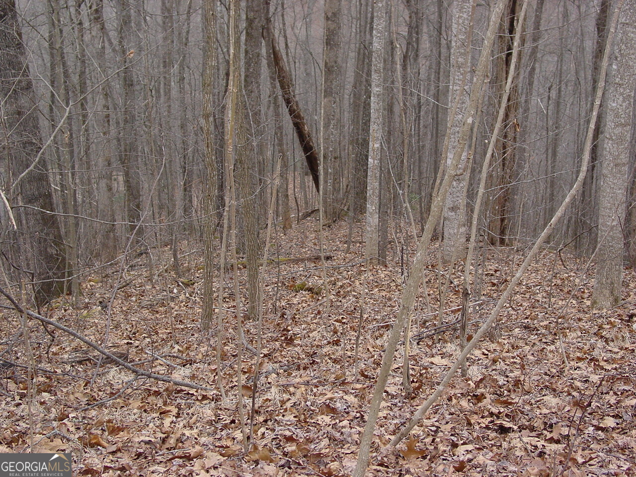 16 Roaring Ridge Trail Hiawassee, GA 30546 - Photo 4 of 4