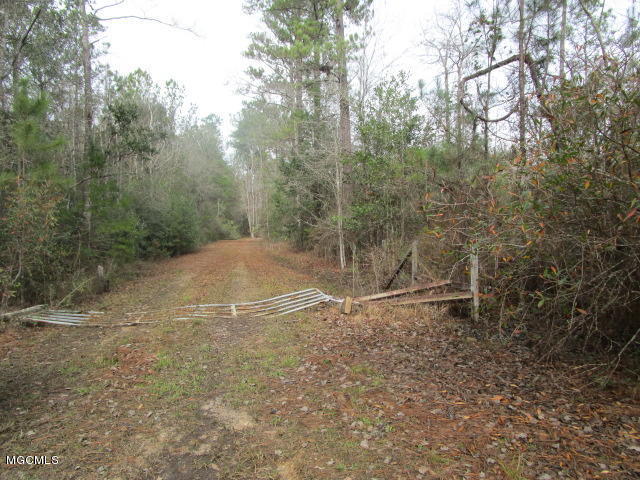 211 Peewee Miller Road Lucedale, MS 39452 - Photo 2 of 16 Pee Wee Miller 1-18 002