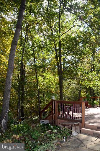 1876 Post Oak Trail Reston, VA 20191 - Photo 29 of 30 View