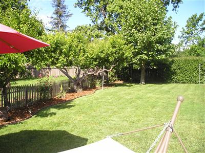 2933 Arden Way Santa Rosa, CA 95403 - Photo 5 of 10 a backyard of a house with large trees and plants