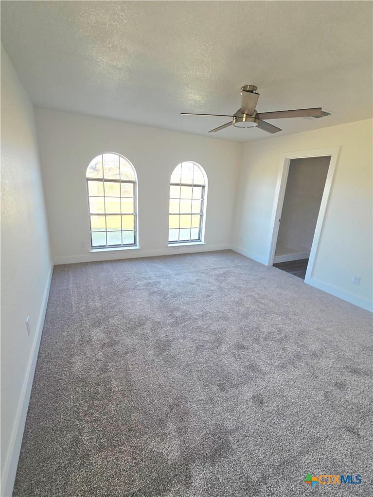132 County Road 4765 Kempner, TX 76539 - Photo 22 of 36 an empty room with windows and fireplace