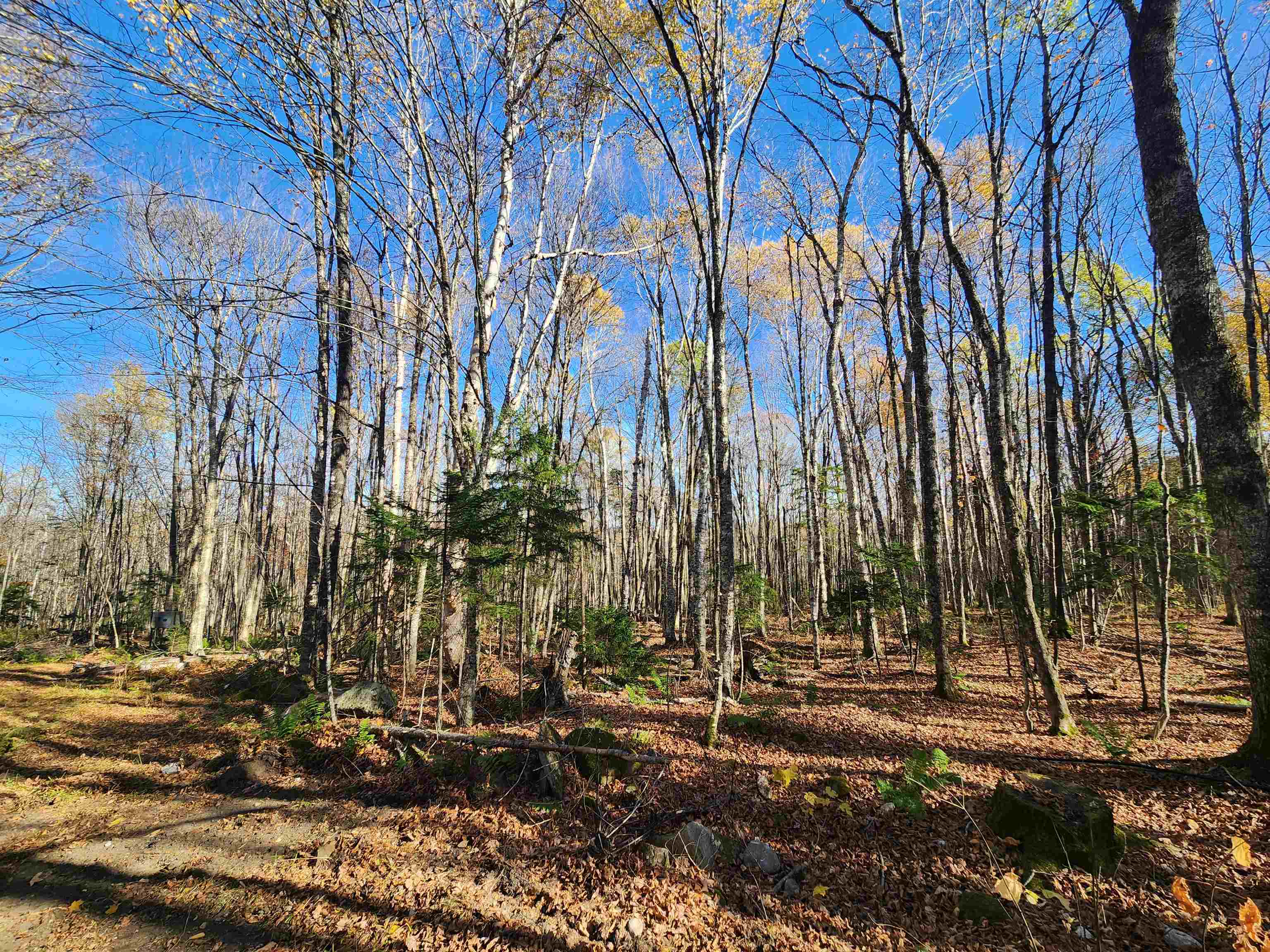 2098 Kinney Hill Road Newark, VT 05871 - Photo 29 of 41