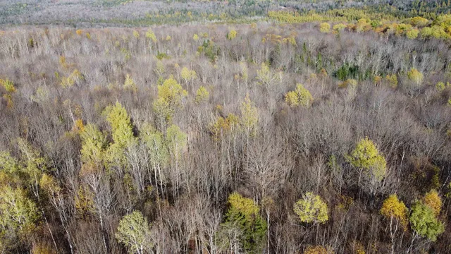 $125,000 | 2098 Kinney Hill Road, Newark, VT 05871