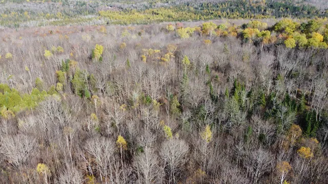 $125,000 | 2098 Kinney Hill Road, Newark, VT 05871