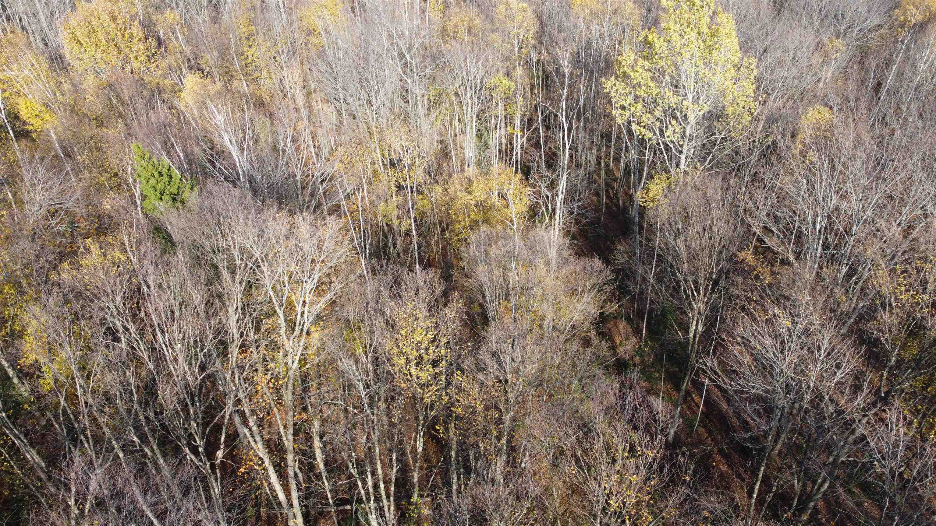 2098 Kinney Hill Road Newark, VT 05871 - Photo 35 of 41