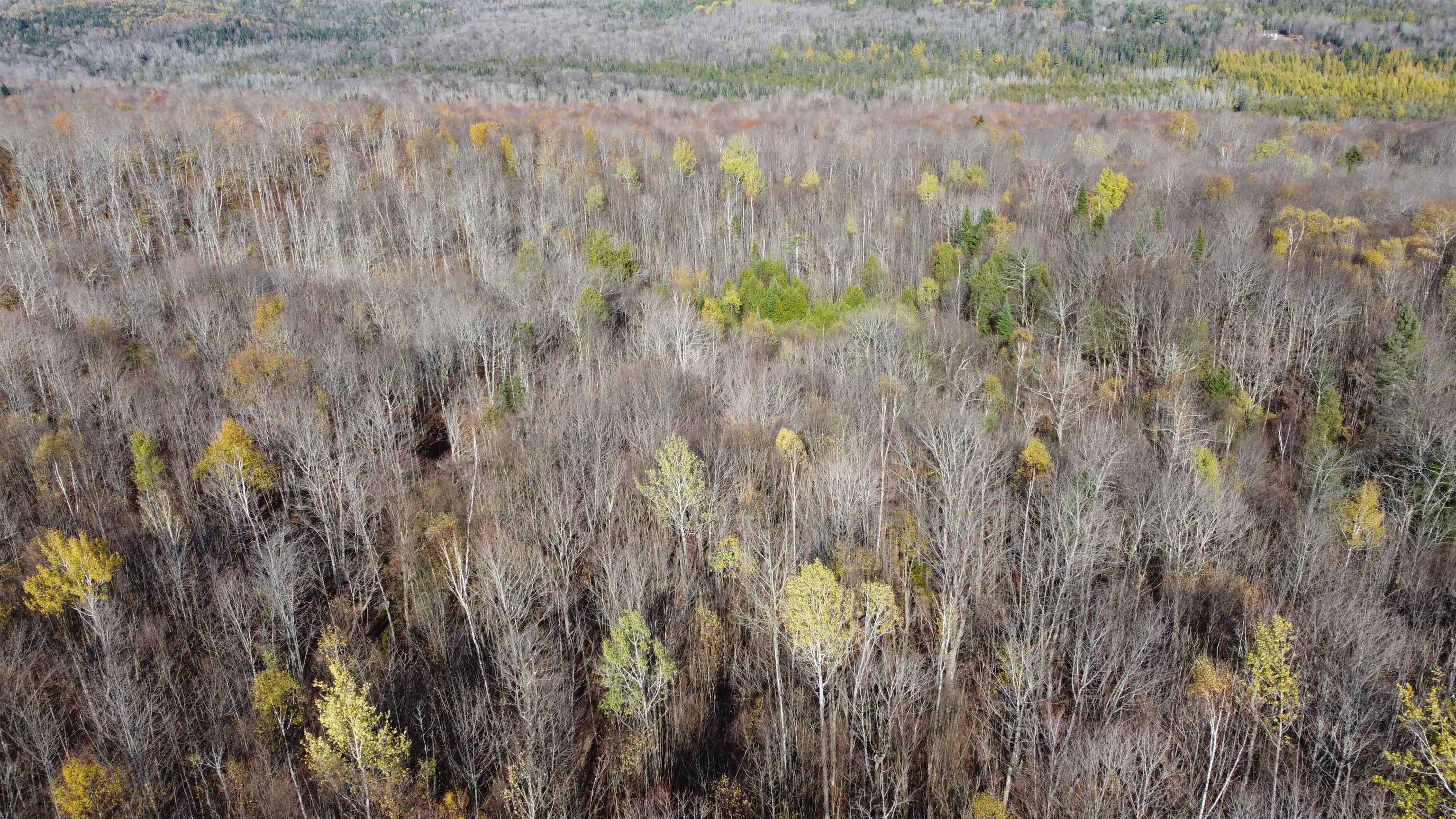 2098 Kinney Hill Road Newark, VT 05871 - Photo 37 of 41