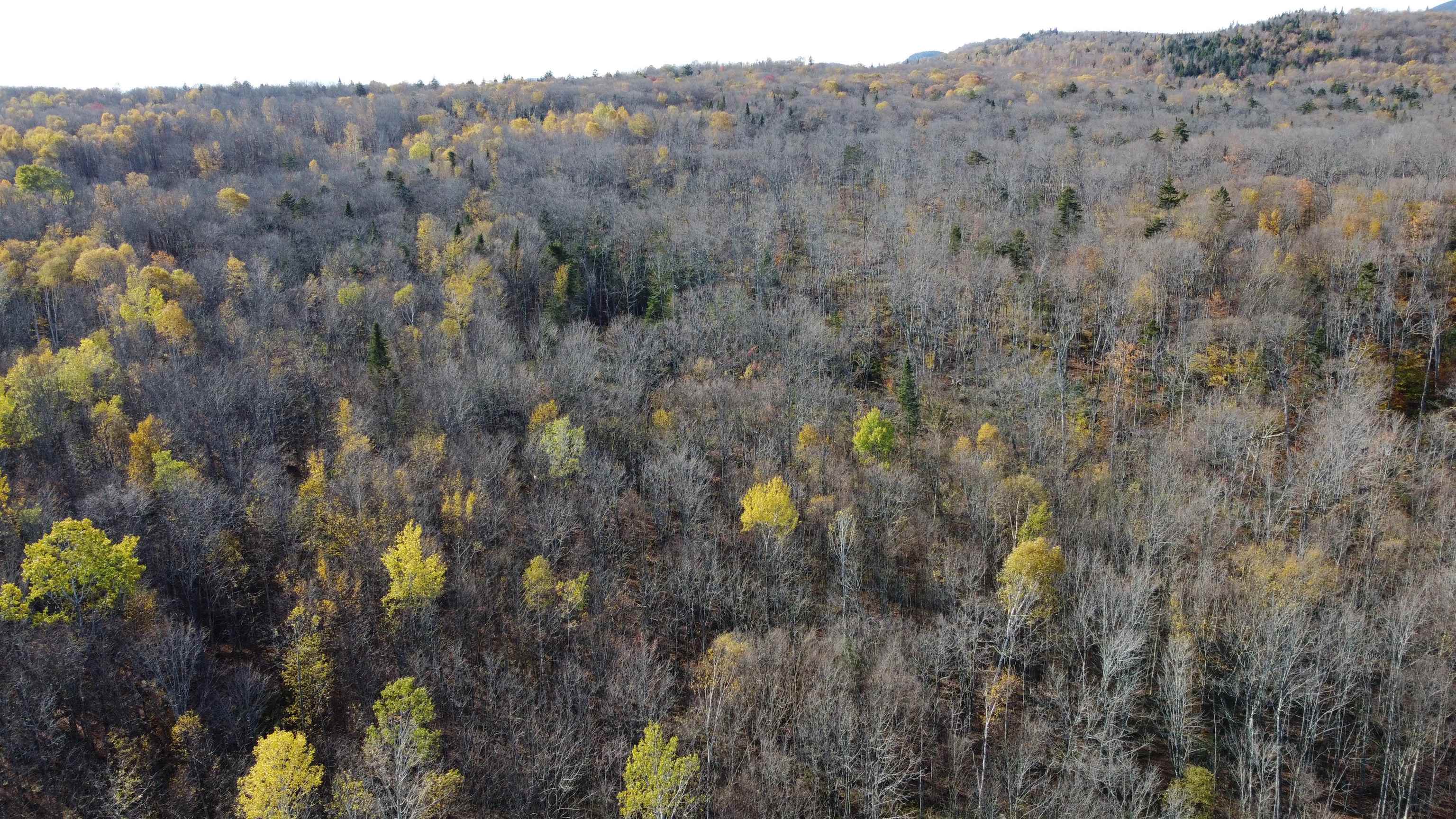 2098 Kinney Hill Road Newark, VT 05871 - Photo 39 of 41