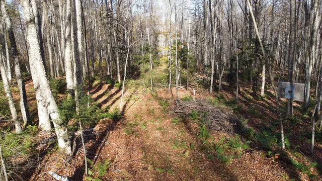 $125,000 | 2098 Kinney Hill Road, Newark, VT 05871