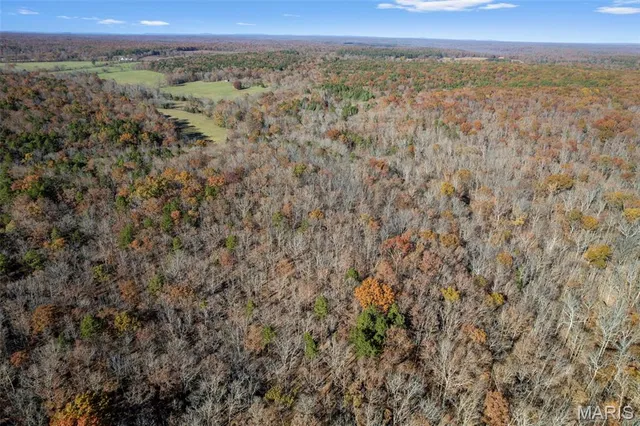 $352,500 | 6827 Wayne 505, Greenville, MO 63944