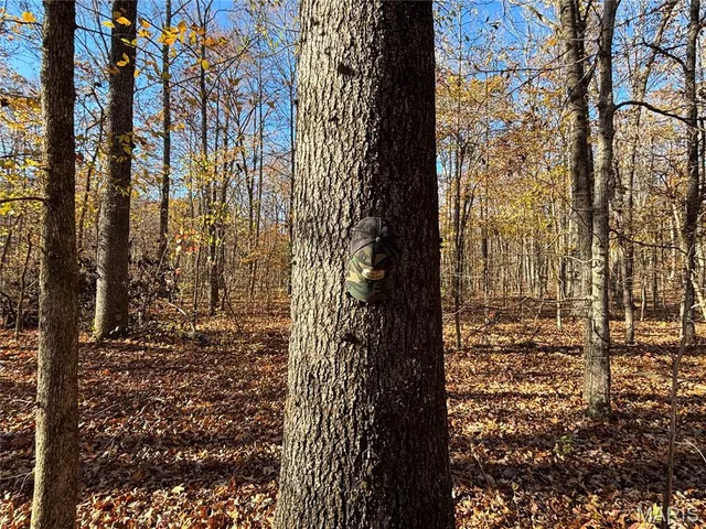 $352,500 | 6827 Wayne 505, Greenville, MO 63944