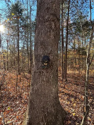 $352,500 | 6827 Wayne 505, Greenville, MO 63944