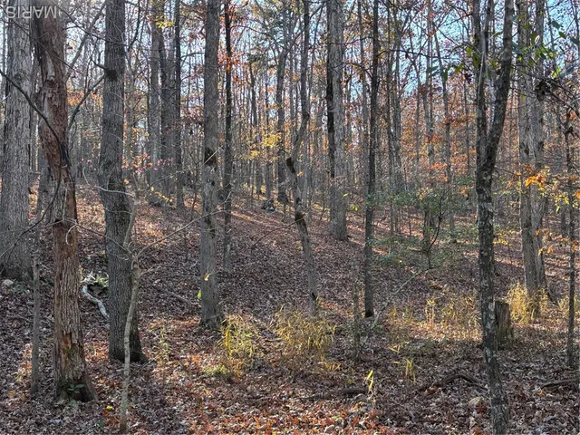 $352,500 | 6827 Wayne 505, Greenville, MO 63944