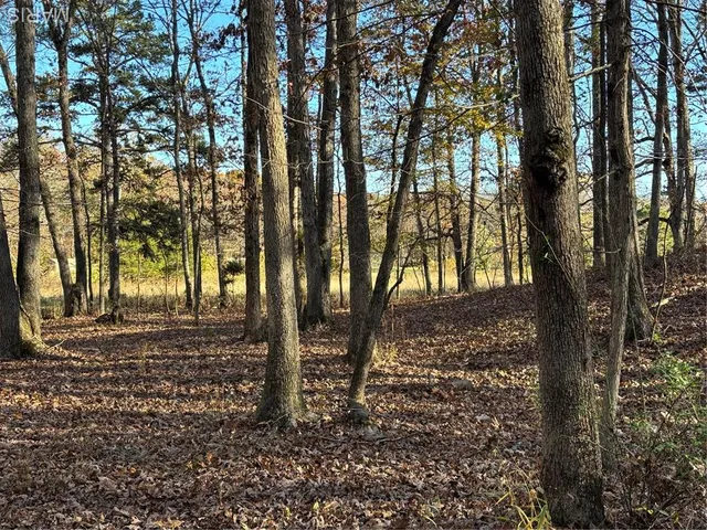 $352,500 | 6827 Wayne 505, Greenville, MO 63944