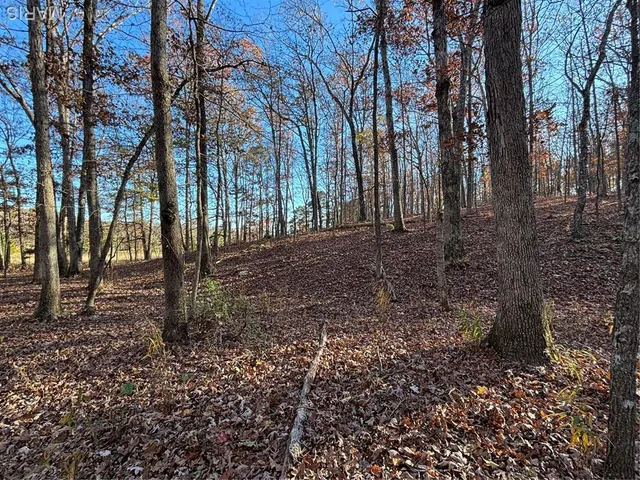 $352,500 | 6827 Wayne 505, Greenville, MO 63944