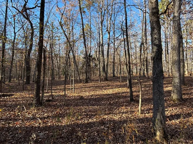 $352,500 | 6827 Wayne 505, Greenville, MO 63944