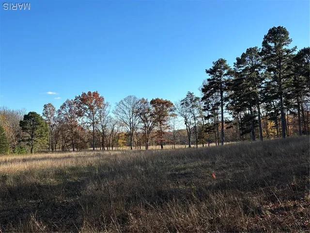 $352,500 | 6827 Wayne 505, Greenville, MO 63944