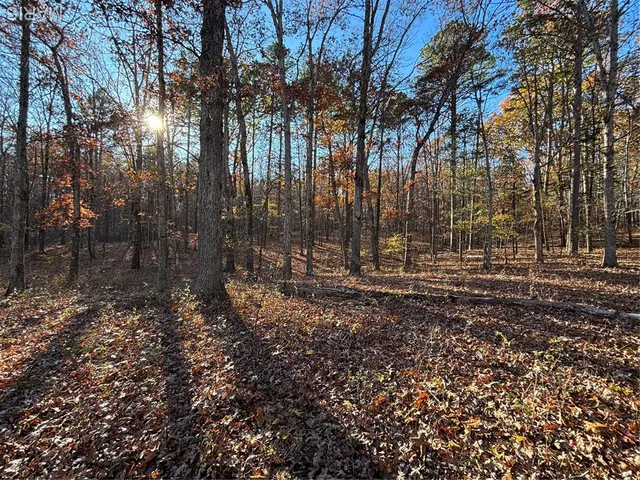 $352,500 | 6827 Wayne 505, Greenville, MO 63944