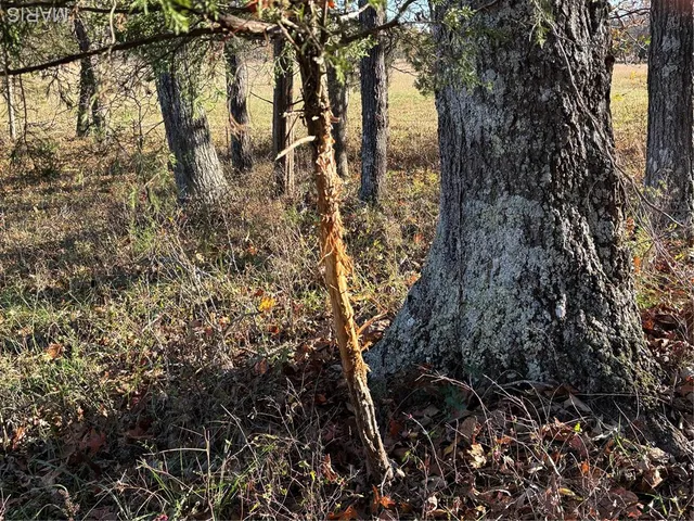 $352,500 | 6827 Wayne 505, Greenville, MO 63944