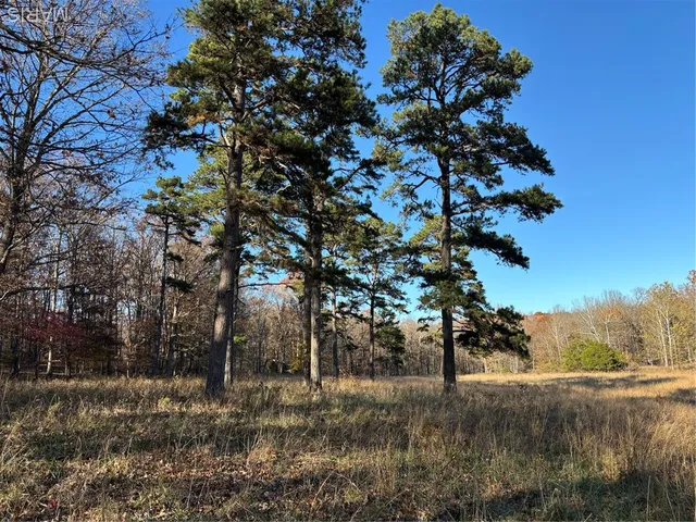 $352,500 | 6827 Wayne 505, Greenville, MO 63944