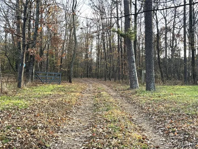 $352,500 | 6827 Wayne 505, Greenville, MO 63944