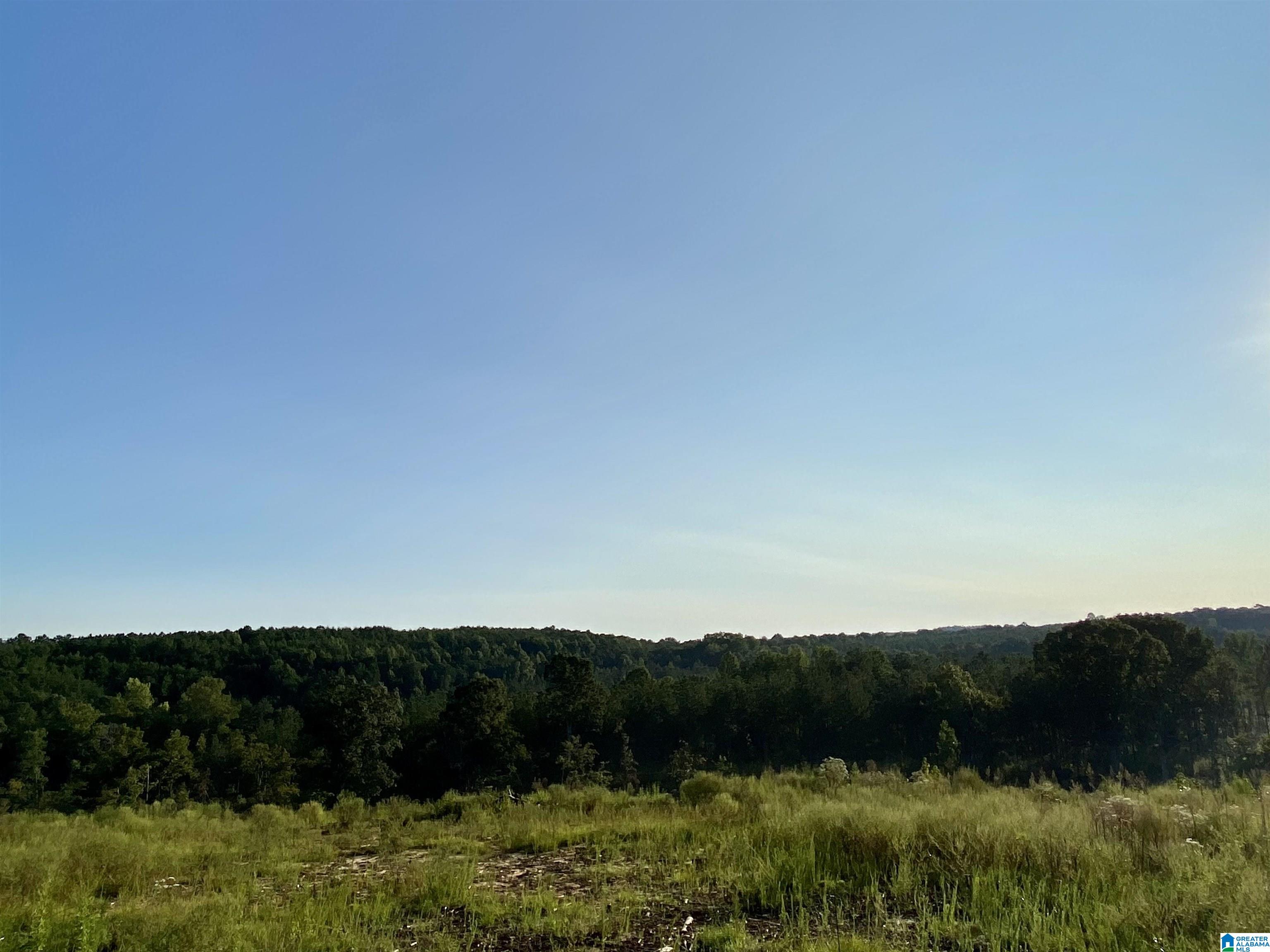 0 Frost Road, Unit 100 / ACRES Springville, AL 35146 - Photo 9 of 60