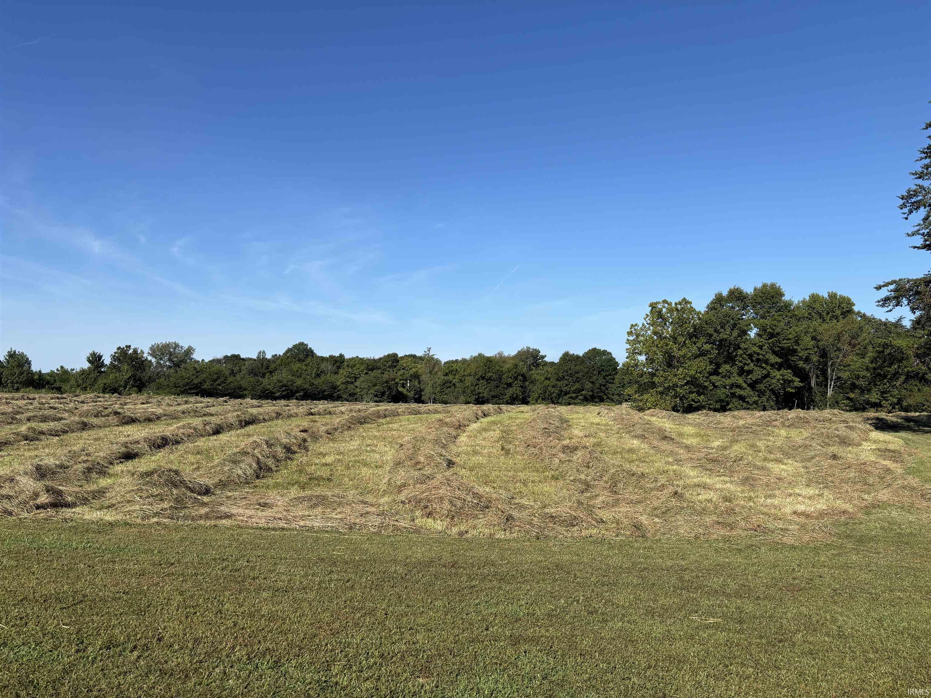 0 East Co Road Winslow, IN 47598 - Photo 4 of 6 Gallery Image 4