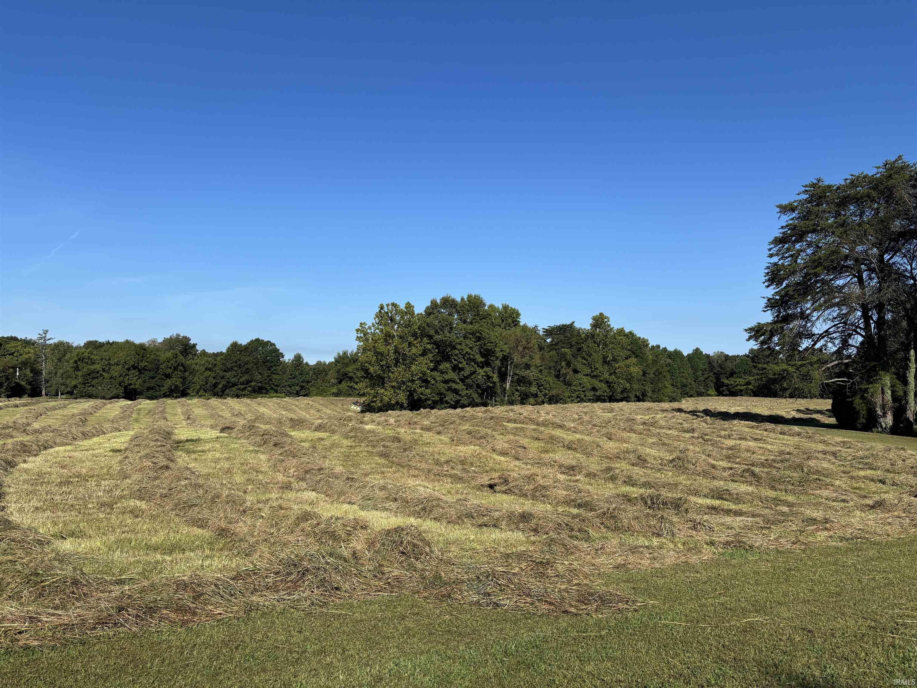0 East Co Road Winslow, IN 47598 - Photo 5 of 6 Gallery Image 5