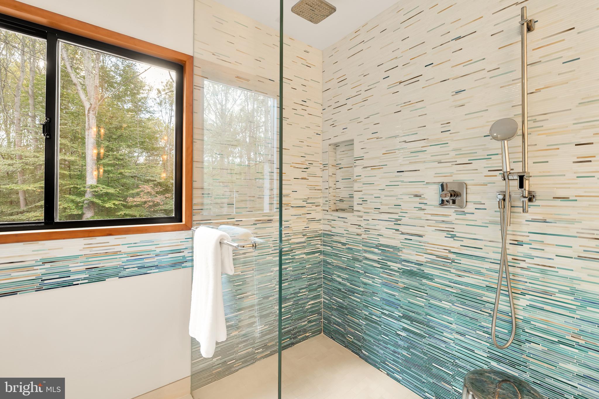 249 Springvale Road Great Falls, VA 22066 - Photo 24 of 49 a bathroom with a shower