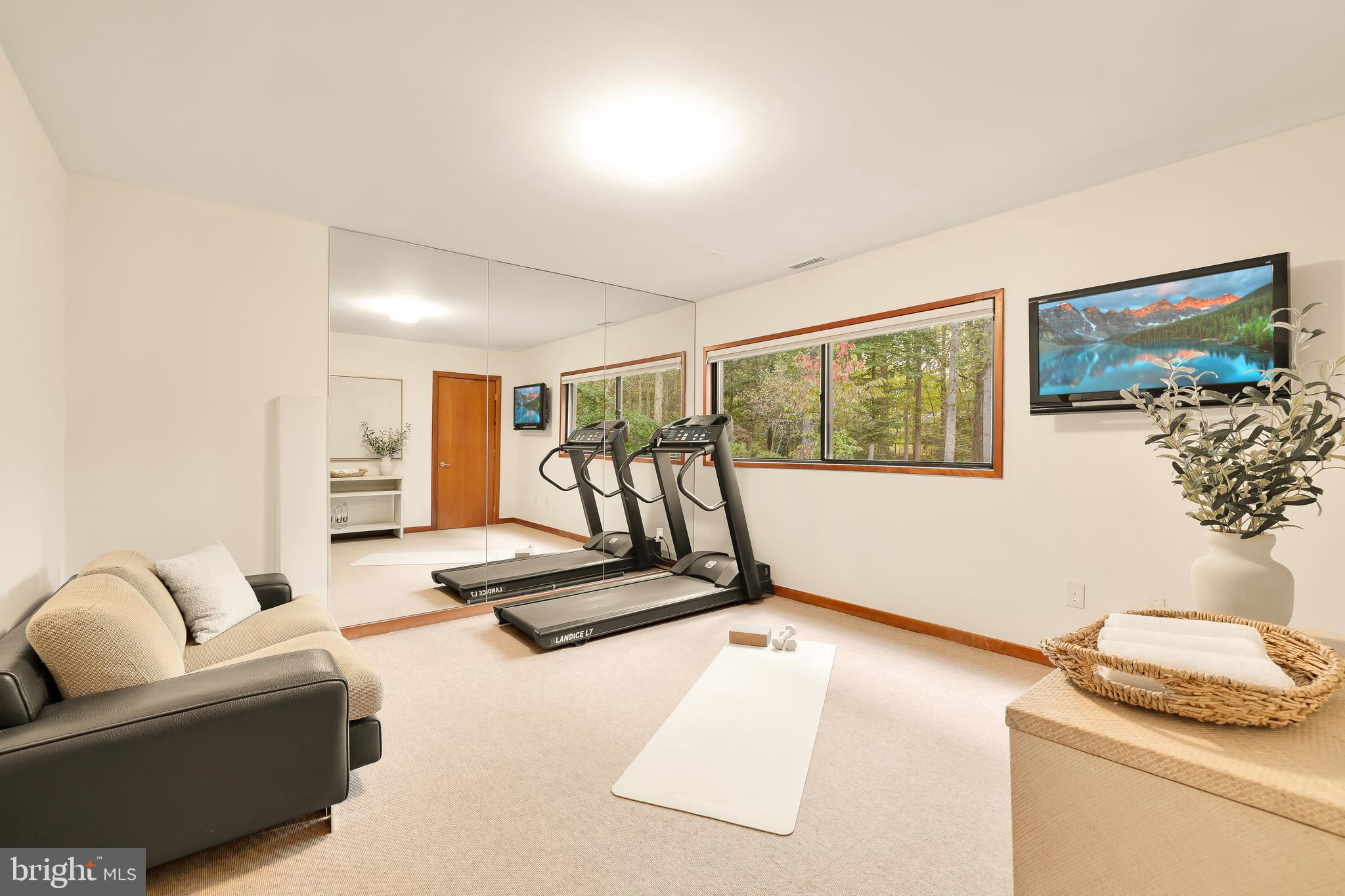 249 Springvale Road Great Falls, VA 22066 - Photo 25 of 49 a living room with furniture gym equipment and a large window