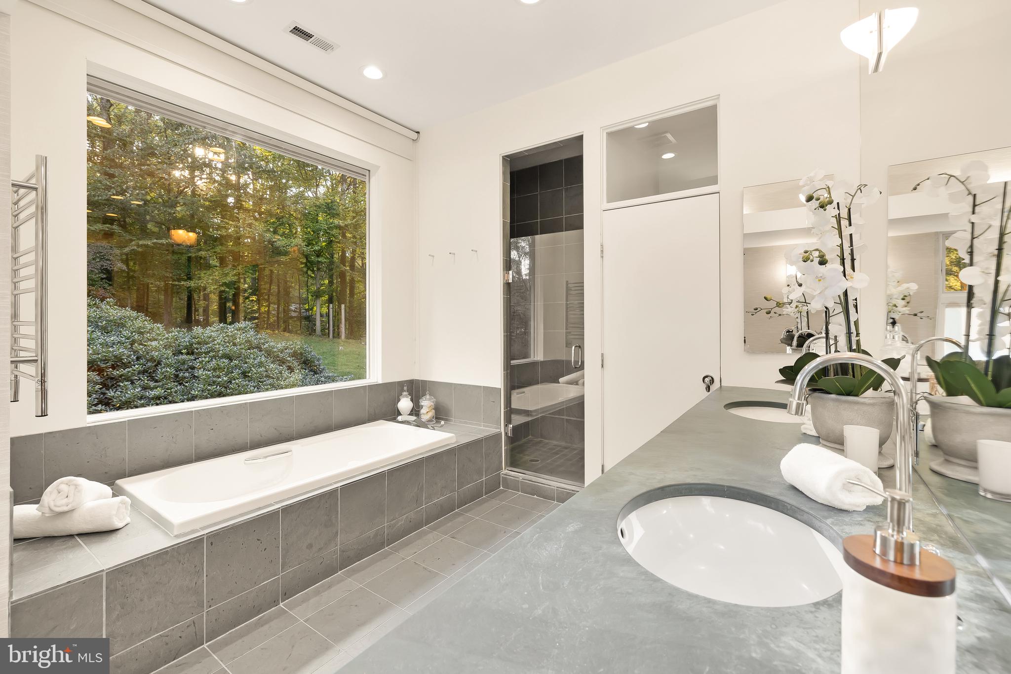 249 Springvale Road Great Falls, VA 22066 - Photo 33 of 49 a living room with furniture and a floor to ceiling window