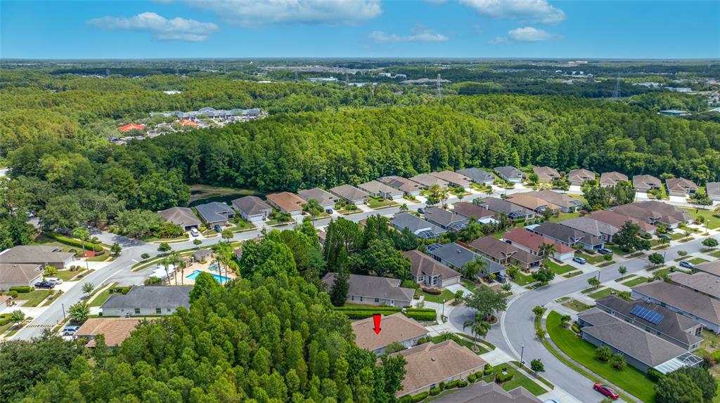 7740 Craighurst Loop Trinity, FL 34655 - Photo 44 of 65