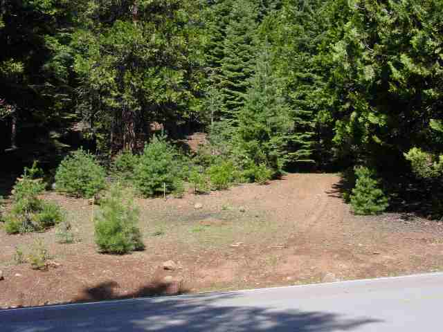 805 Lake Ridge Road, Unit 11 Lake Almanor, CA 96137 - Photo 1 of 2