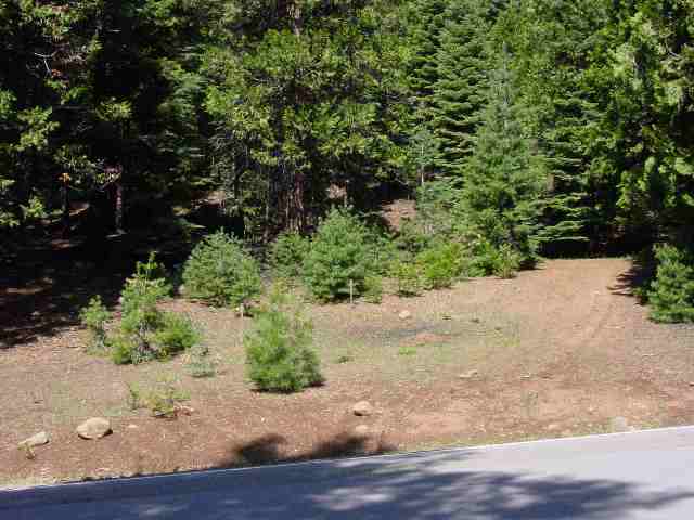 805 Lake Ridge Road, Unit 11 Lake Almanor, CA 96137 - Photo 2 of 2