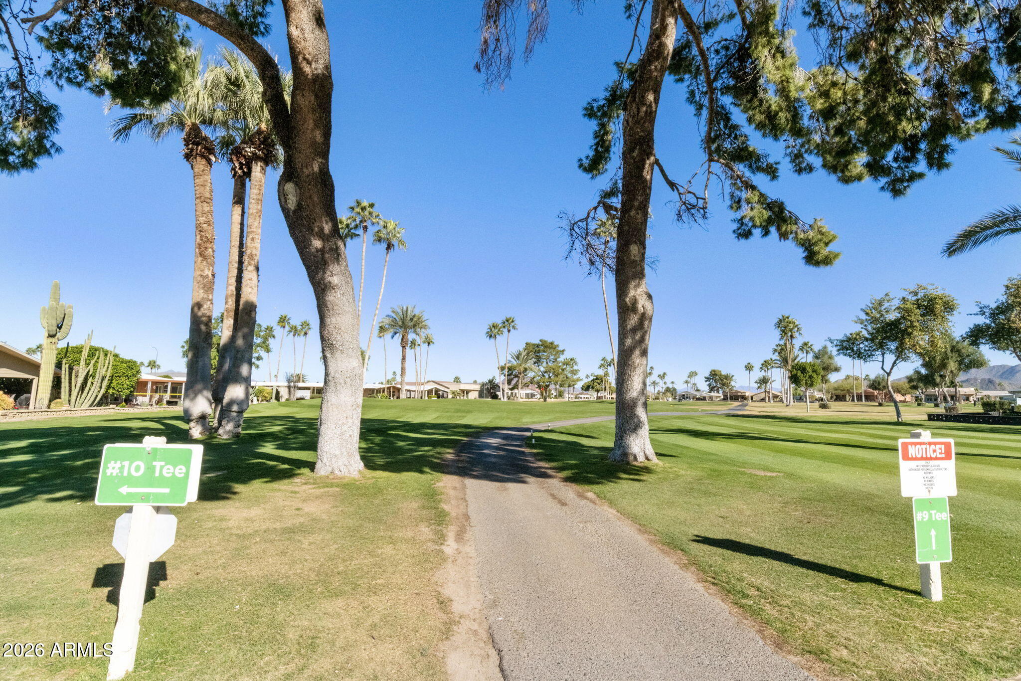 2435 North Higley Road Mesa, AZ 85215 - Photo 58 of 82 61-web-or-mls-DLB_4514