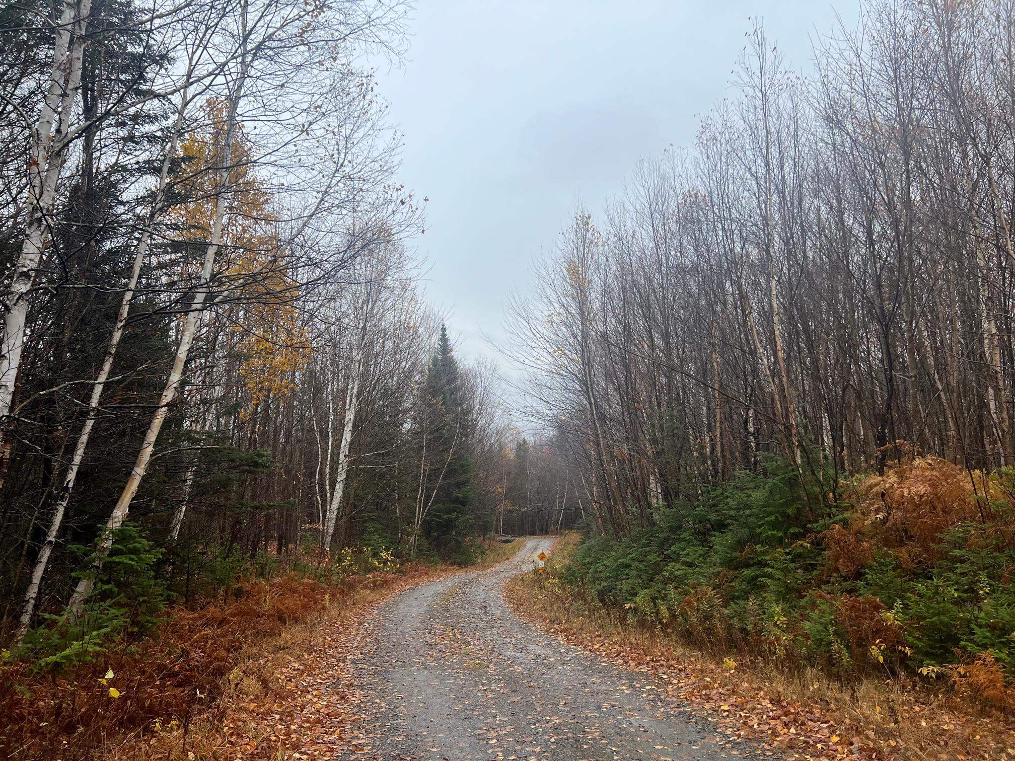 - Hudson Road Canaan, VT 05903 - Photo 2 of 4