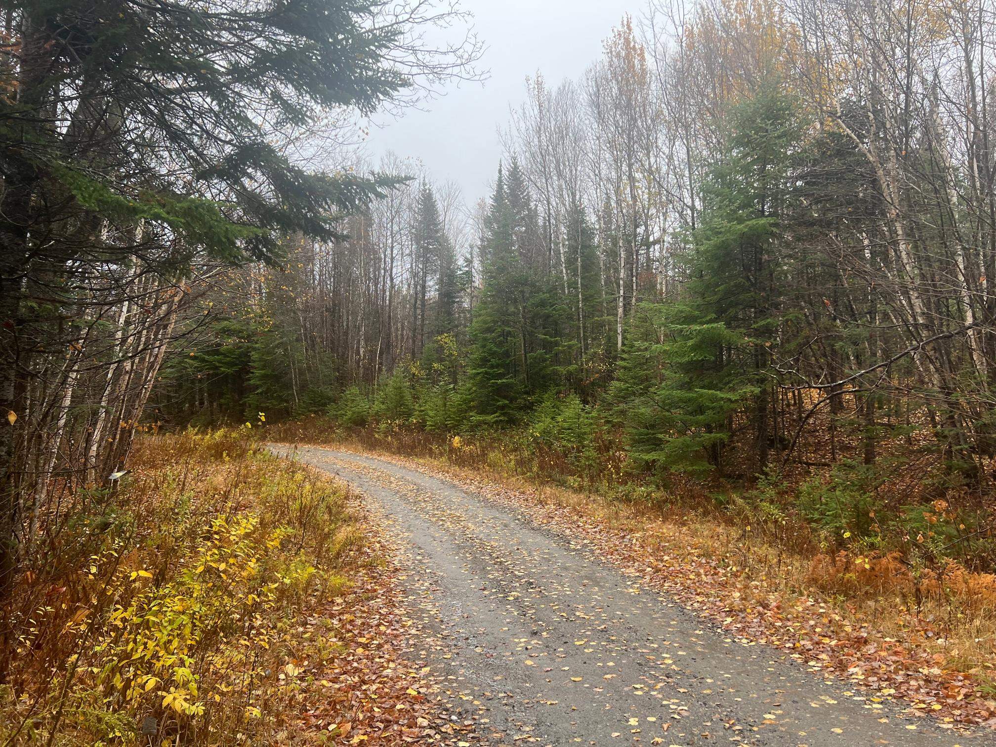 - Hudson Road Canaan, VT 05903 - Photo 4 of 4